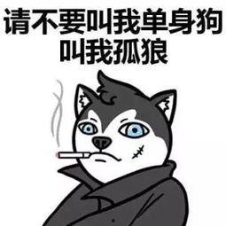 娱乐吃瓜君脱单冷知识